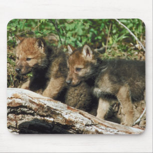 Tapis De Souris Petits animaux de loup de bois de construction