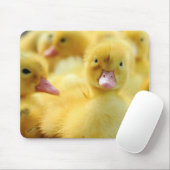 Tapis De Souris Petits canards (Avec souris)