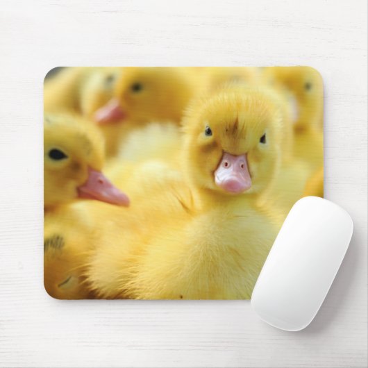 Tapis De Souris Petits canards (Avec souris)