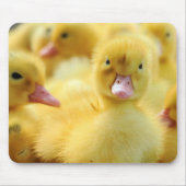 Tapis De Souris Petits canards (Devant)