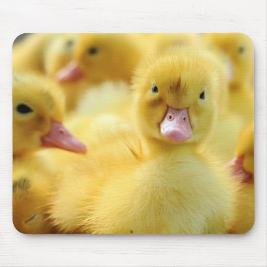 Tapis De Souris Petits canards (Devant)