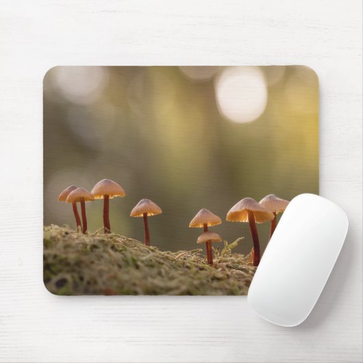 Tapis De Souris Petits champignons Photo nature (Avec souris)