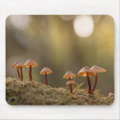 Tapis De Souris Petits champignons Photo nature (Devant)