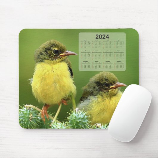 Tapis De Souris Petits oiseaux jaunes sur un Plante vert 2024 Cale (Avec souris)