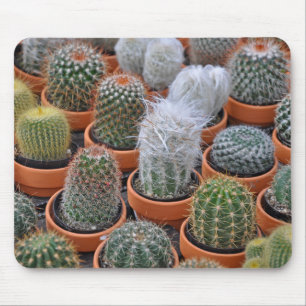 Tapis De Souris Petits plantes de cactus