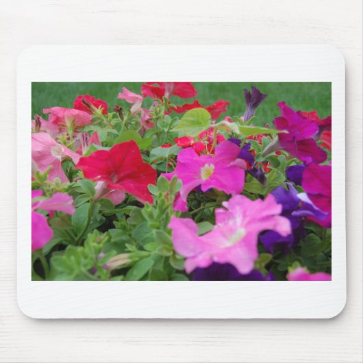 Tapis De Souris Petunias (Devant)