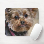 Tapis De Souris Pfft ! (Avec souris)