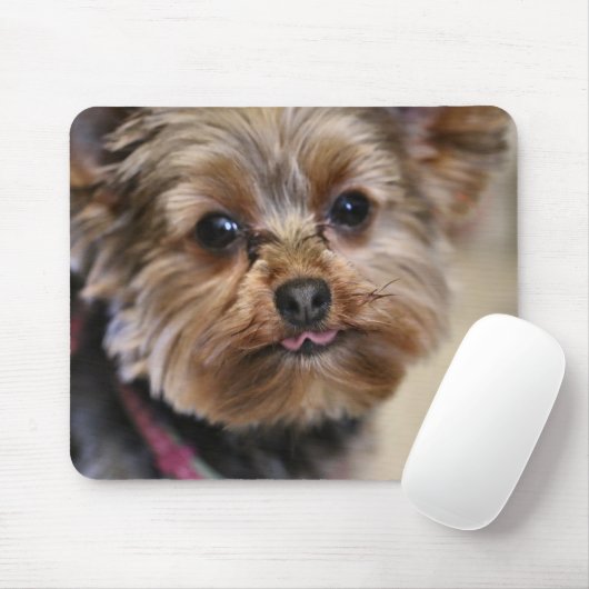 Tapis De Souris Pfft ! (Avec souris)