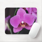 Tapis De Souris Phalaenopsis rose (Avec souris)