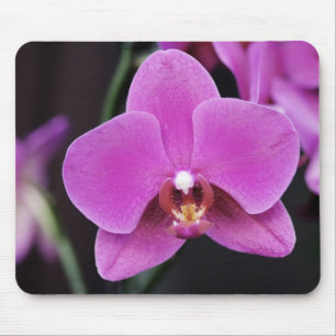 Tapis De Souris Phalaenopsis rose