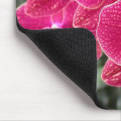 Tapis De Souris Phalaenopsis rose foncé (Coin)