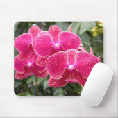 Tapis De Souris Phalaenopsis rose foncé (Avec souris)