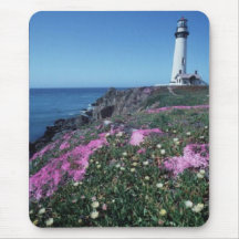 Phare de point de Pidgeon