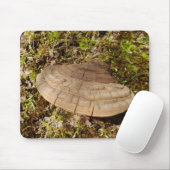 Tapis De Souris Phellinus igniarius Mushroom Mouse Mat (Avec souris)