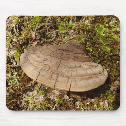 Tapis De Souris Phellinus igniarius Mushroom Mouse Mat (Devant)