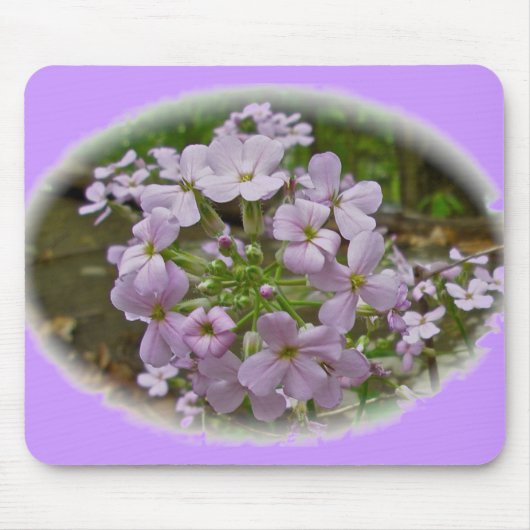 Tapis De Souris Phlox sauvage Mousepad (Devant)