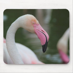 Tapis De Souris Phoenicopterus roseus