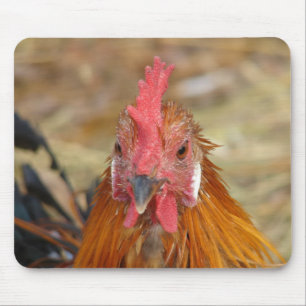 Tapis De Souris Phoenix met la caméra hors tension