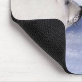 Tapis De Souris Phoque à harpe mère avec son petit (Coin)