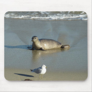 Tapis De Souris Phoque commun à La Jolla Californie