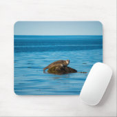 Tapis De Souris Phoque commun de l'Atlantique (Avec souris)