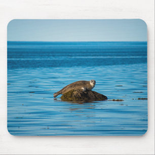 Tapis De Souris Phoque commun de l'Atlantique