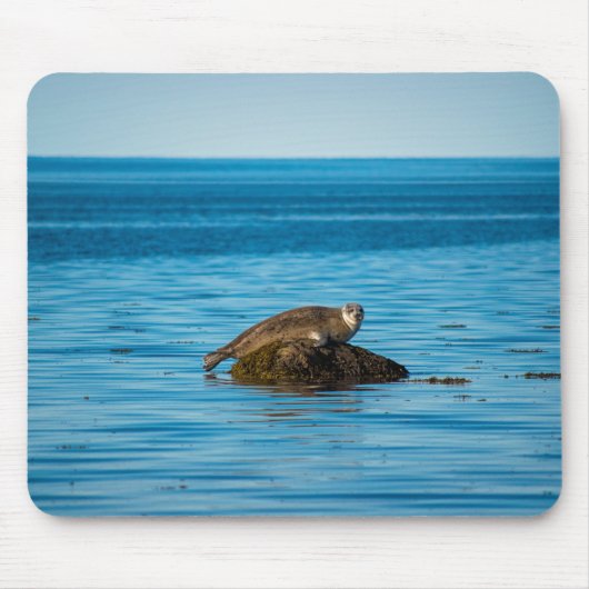 Tapis De Souris Phoque commun de l'Atlantique (Devant)