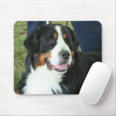 Tapis De Souris Photo bernoise Mountain Dog (Avec souris)