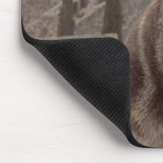 Tapis De Souris Photo de chat Mousepad (Coin)
