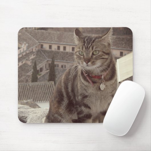 Tapis De Souris Photo de chat Mousepad (Avec souris)