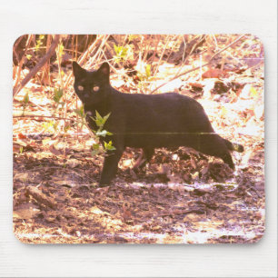 Tapis De Souris Photo de chat noir