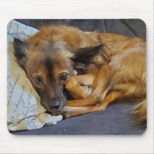 Tapis De Souris Photo de chien personnalisé