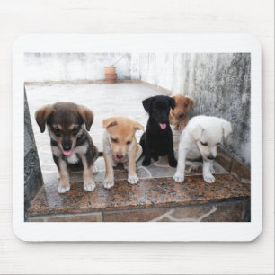 Tapis De Souris Photo de chiots super mignons