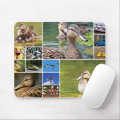 Tapis De Souris Photo de collage de canards (Avec souris)