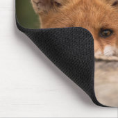 Tapis De Souris Photo de Cute Little Orange Fox (Coin)