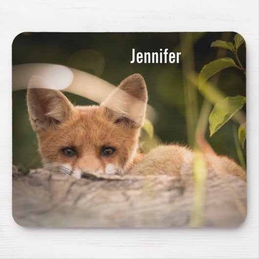Tapis De Souris Photo de Cute Little Orange Fox (Devant)