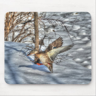 Tapis De Souris Photo de la faune de Mallard Duck Birlover