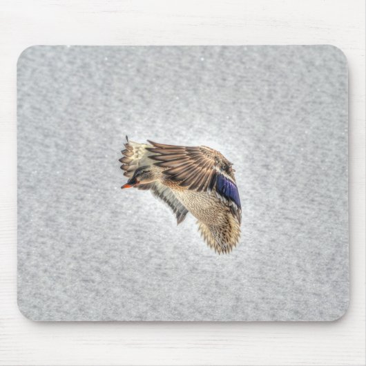 Tapis De Souris Photo de la faune de Mallard Duck Birlover (Devant)