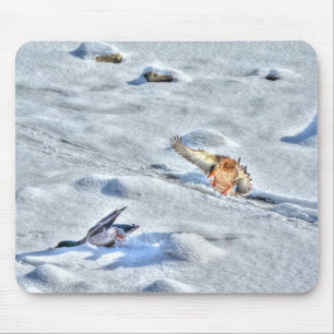 Tapis De Souris Photo de la faune de Mallard Duck Birlover