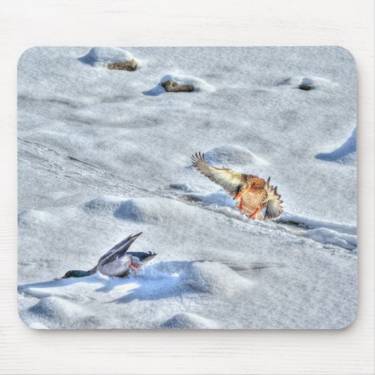 Tapis De Souris Photo de la faune de Mallard Duck Birlover (Devant)