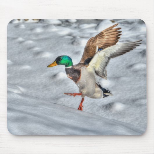Tapis De Souris Photo de la faune de Mallard Duck Birlover (Devant)
