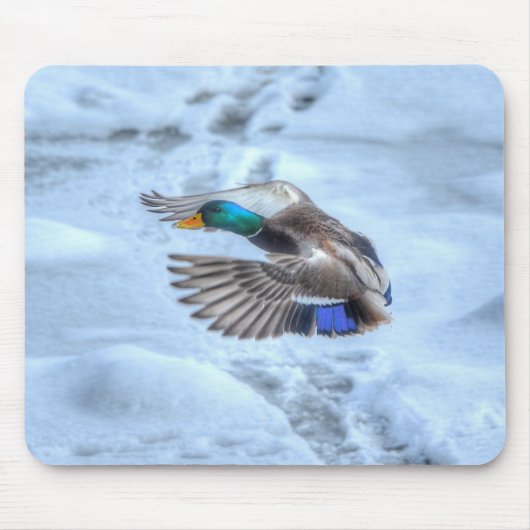 Tapis De Souris Photo de la faune de Mallard Duck Birlover (Devant)
