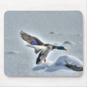 Tapis De Souris Photo de la faune de Mallard Duck Birlover