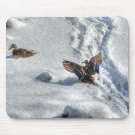 Tapis De Souris Photo de la faune de Mallard Duck Birlover (Devant)