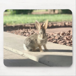Tapis De Souris photo de lapin de Pâques printemps