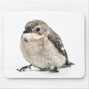 Tapis De Souris Photo de petit oiseau mignon de jardin