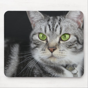 Tapis De Souris Photo de votre chat sucré personnalisée