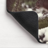 Tapis De Souris Photo d'hiver de l'écureuil Mousepad (Coin)