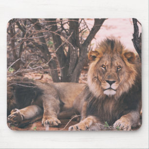 Tapis De Souris Photo du lion cool
