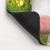 Tapis De Souris Photo d'un animal de ferme de vache (Coin)